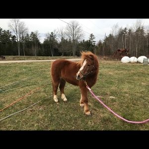 Meet your Posher, Kate